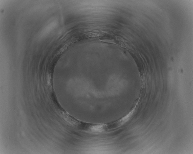 X0000071780178200607211606