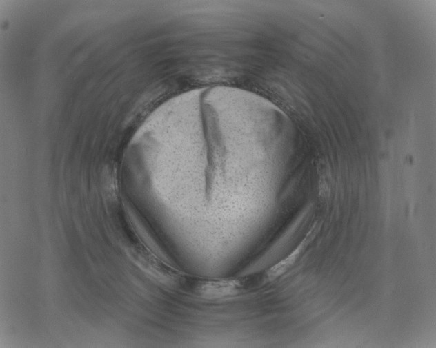 X0000071780179200607211606