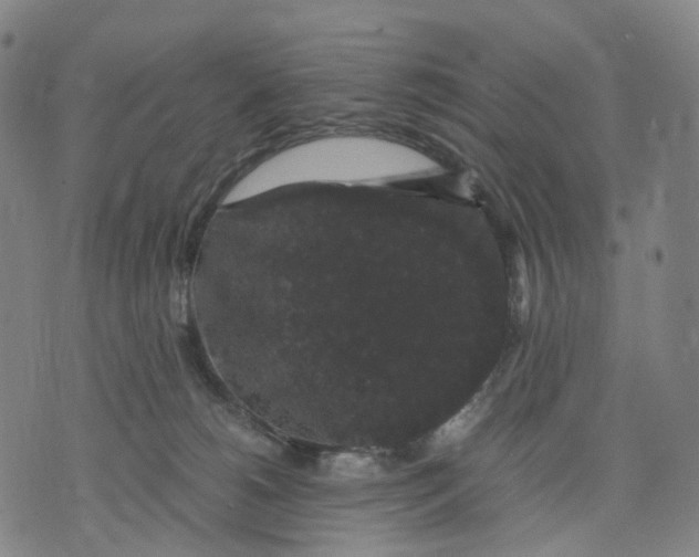 X0000071780180200607211606