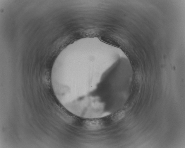 X0000071780181200607211606