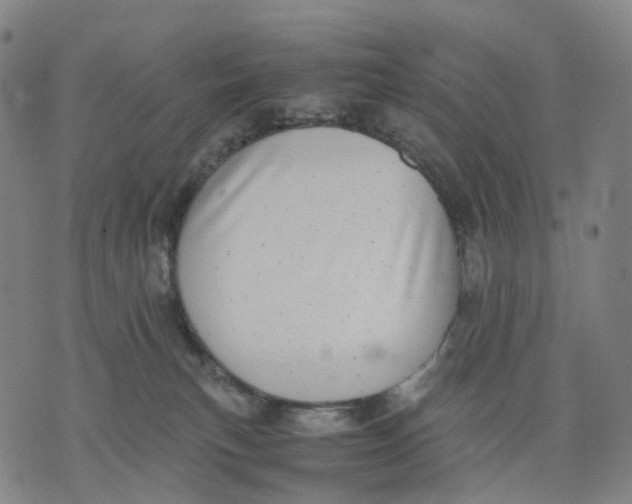 X0000071780183200607211606