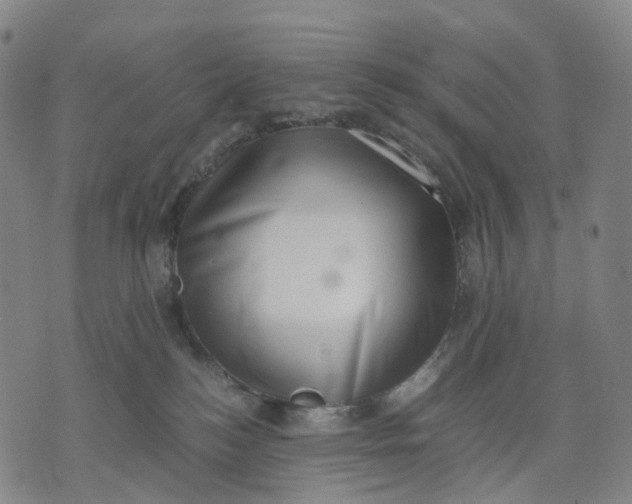 X0000071780184200607211606