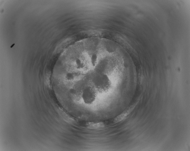 X0000071780185200607211606