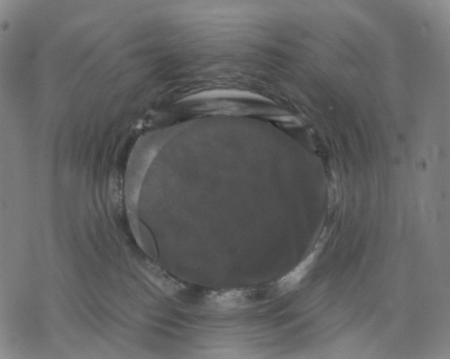 X0000071780186200607211606