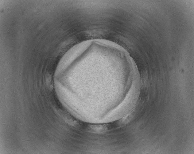 X0000071780187200607211606