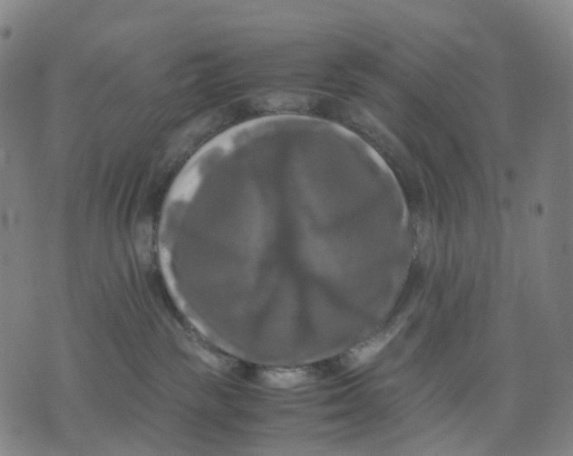 X0000071780189200607211606