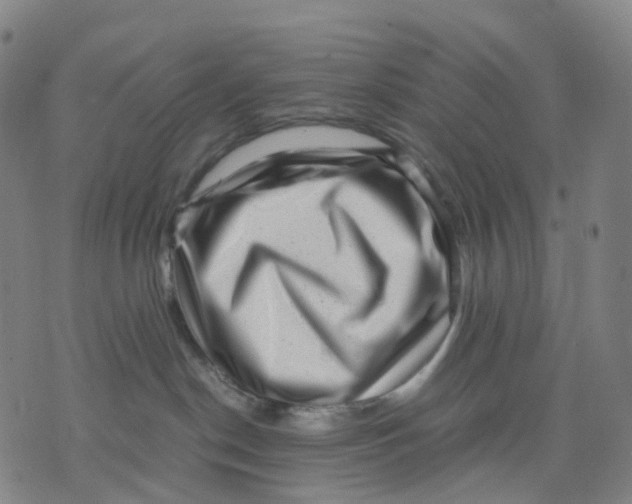 X0000071780190200607211606