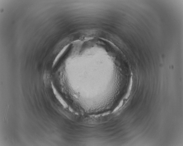 X0000071780191200607211606