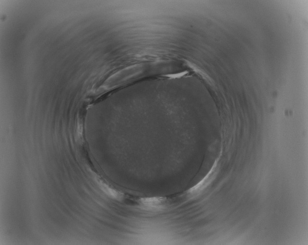 X0000071780192200607211606