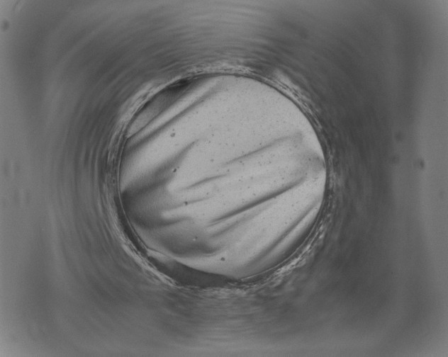 X0000071780193200607211605