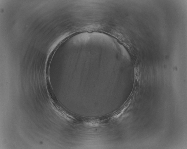 X0000071780196200607211605