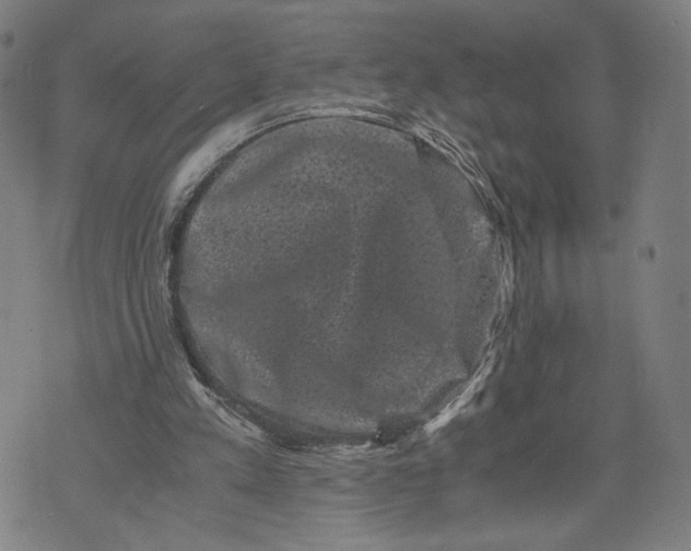 X0000071780197200607211605