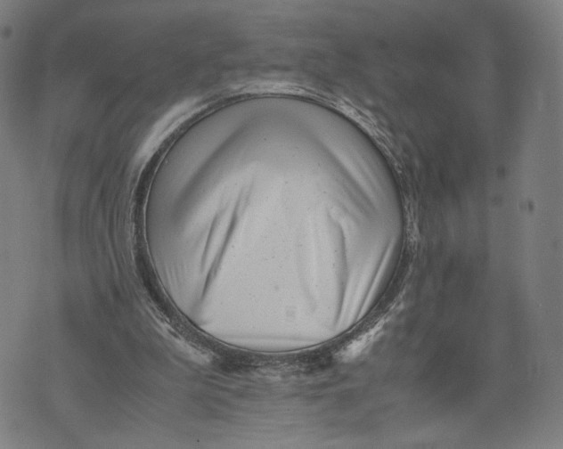 X0000071780199200607211605