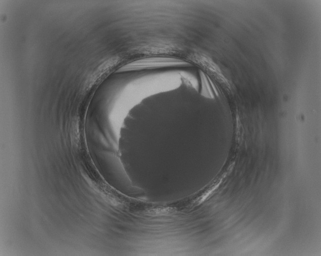 X0000071780202200607211605