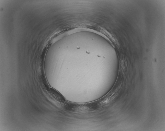 X0000071780203200607211605