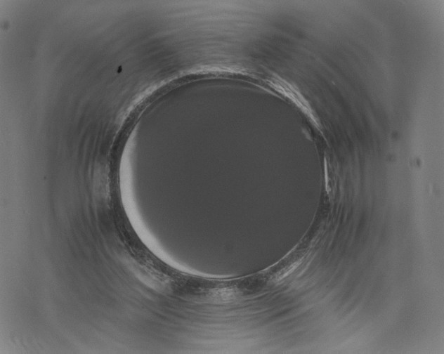 X0000071780204200607211605