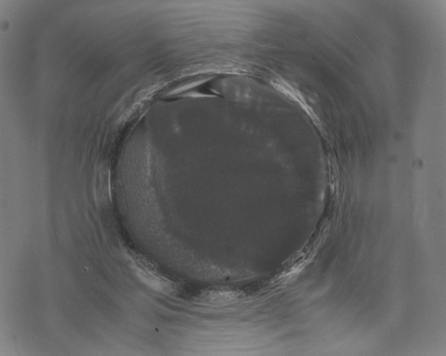 X0000071780205200607211605