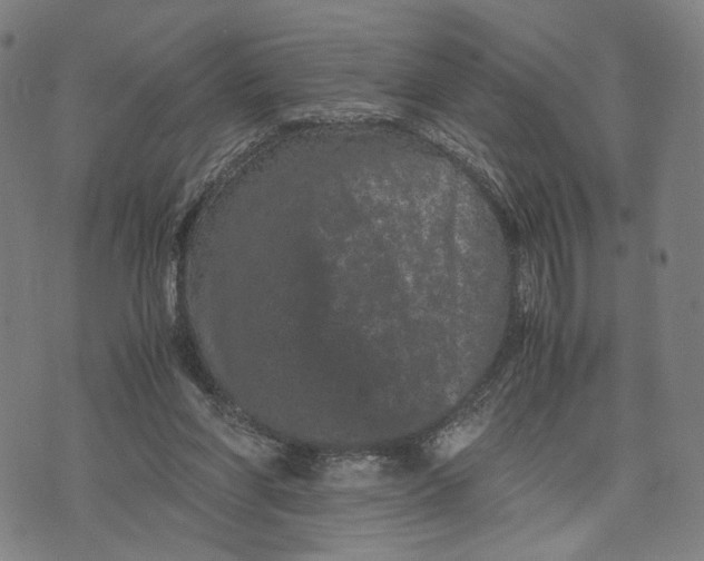 X0000071780206200607211605