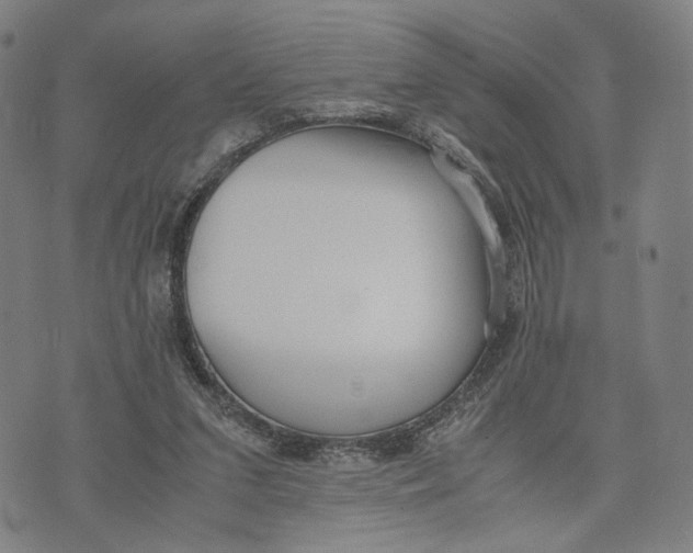 X0000071780207200607211605