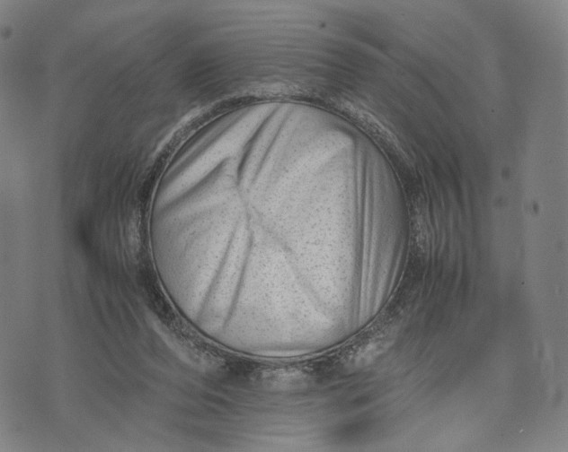 X0000071780208200607211605