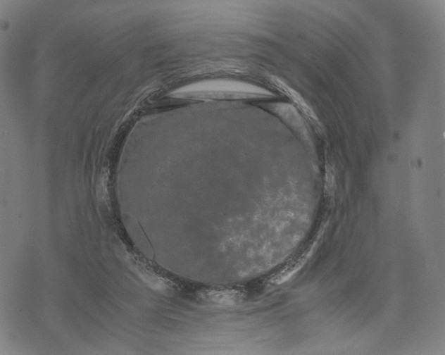 X0000071780209200607211605