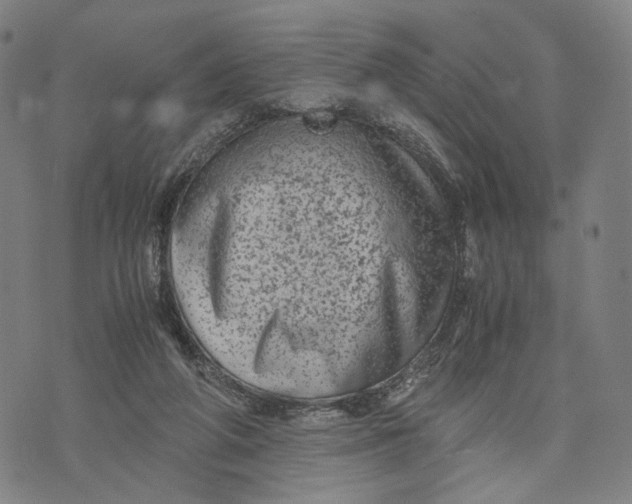 X0000071780210200607211605