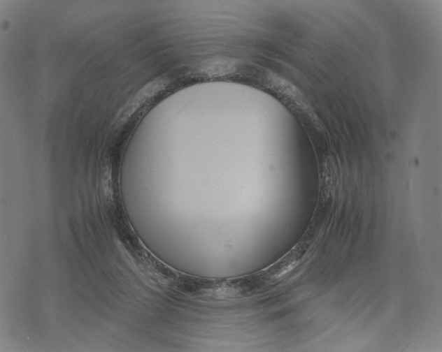 X0000071780212200607211605