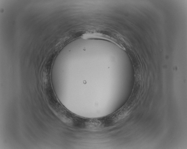 X0000071780215200607211605