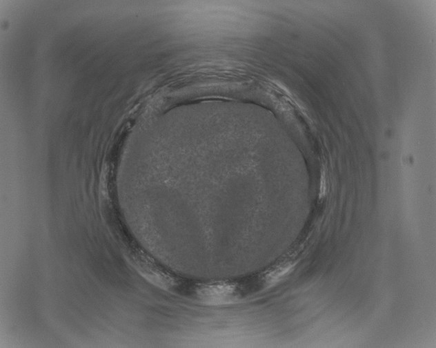 X0000071780217200607211605