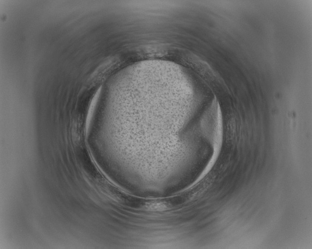 X0000071780218200607211605