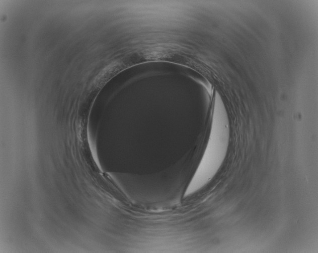 X0000071780219200607211605