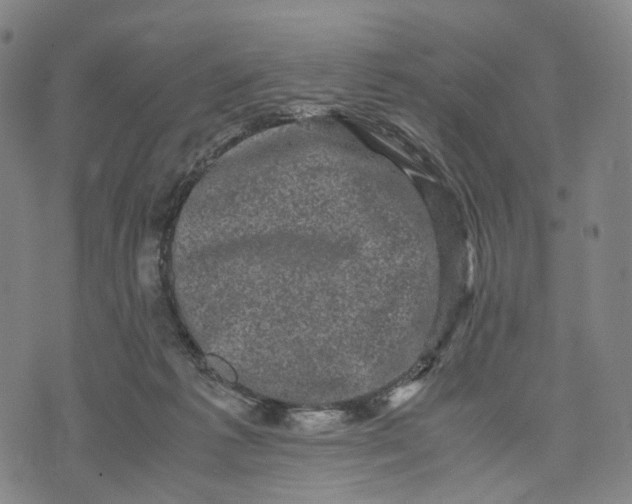 X0000071780221200607211605