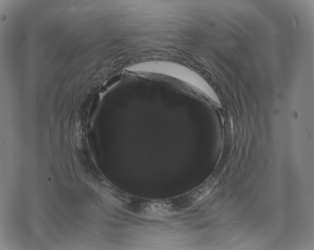 X0000071780223200607211605