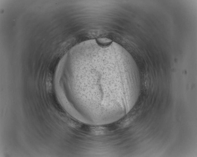 X0000071780226200607211605