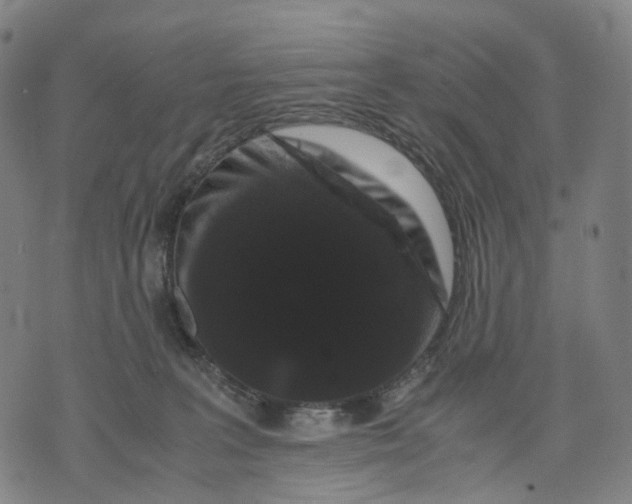 X0000071780227200607211605