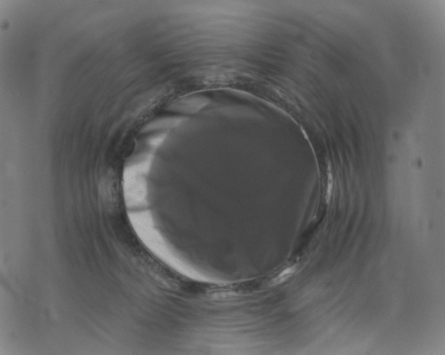 X0000071780228200607211605