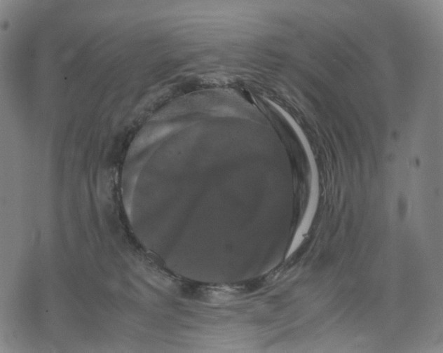 X0000071780229200607211605