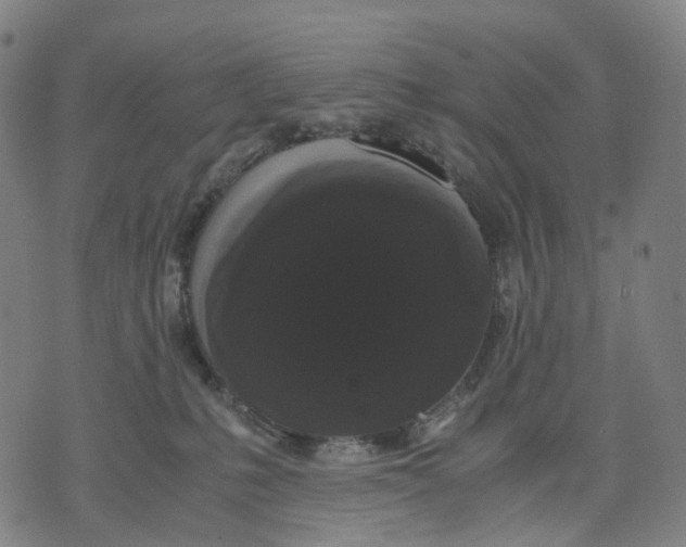 X0000071780231200607211605