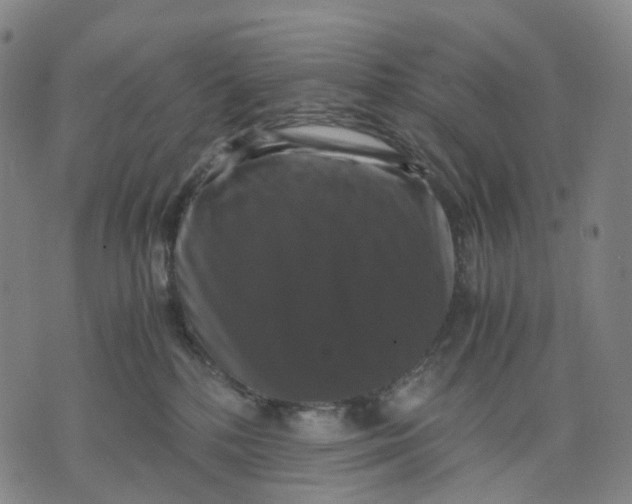 X0000071780232200607211605