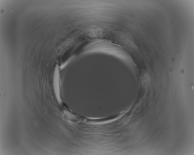 X0000071780233200607211605