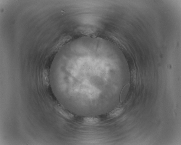 X0000071780234200607211605