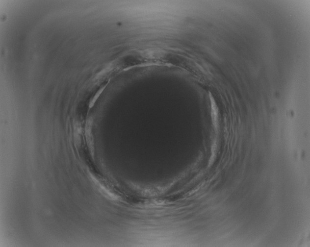 X0000071780235200607211605