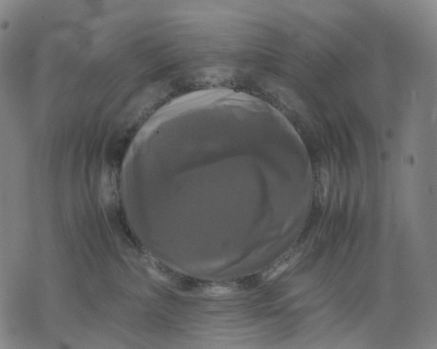 X0000071780236200607211605