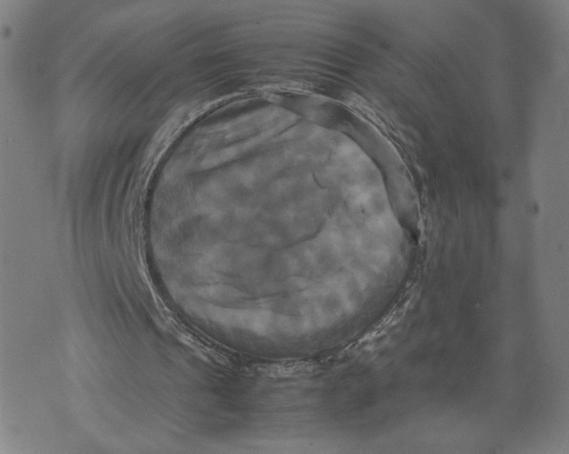 X0000071780241200607211604