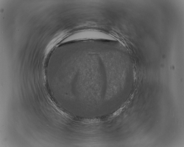 X0000071780245200607211604