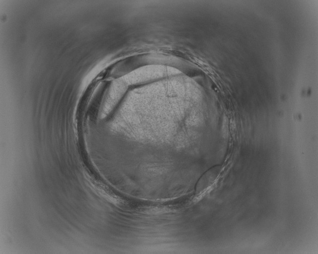 X0000071780246200607211604