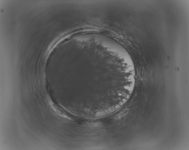 X0000071780247200607211604