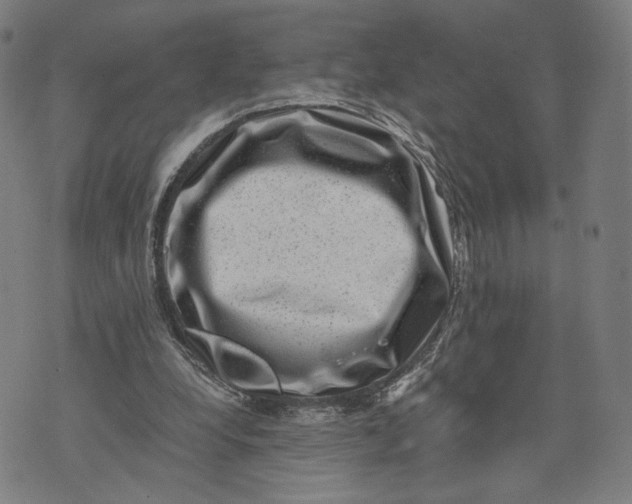 X0000071780248200607211604