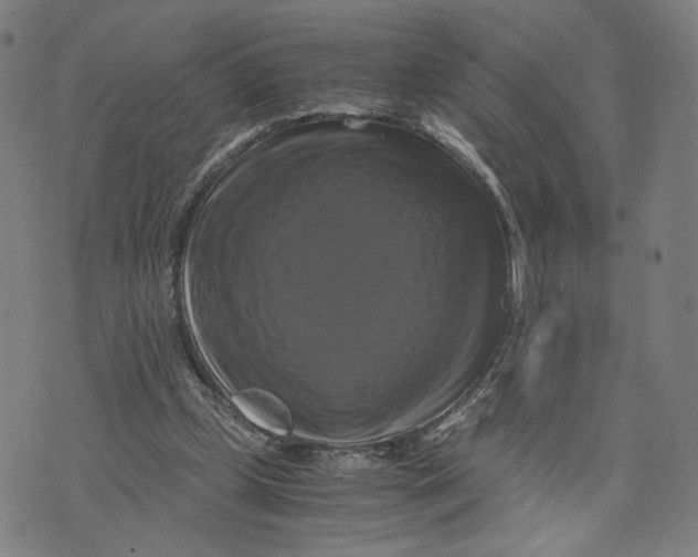 X0000071780249200607211604