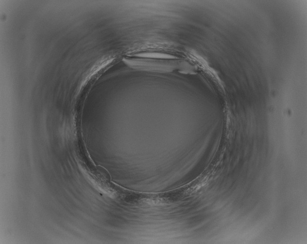 X0000071780250200607211604